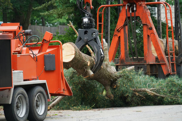 Best Lawn Watering Services  in West Bend, WI