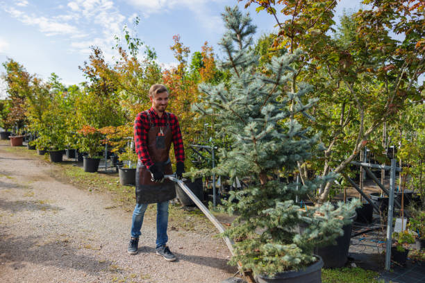 Best Utility Line Clearance  in West Bend, WI